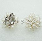 5-6mm pearl studs