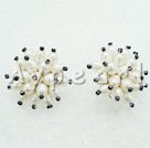 5-6mm pearl studs