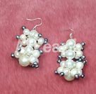 Discount pearl shell earrings