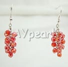Discount crystal earrings