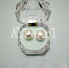 Discount 11.5-12mm pearl studs